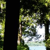 Review photo of Tennison Bay Campground by Amanda P., April 27, 2019