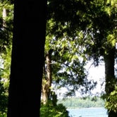 Review photo of Peninsula State Park Campground — Peninsula State Park by Amanda P., April 27, 2019