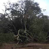 Review photo of Atlantic Beach Campground — Fort Clinch State Park by Michelle S., April 27, 2019