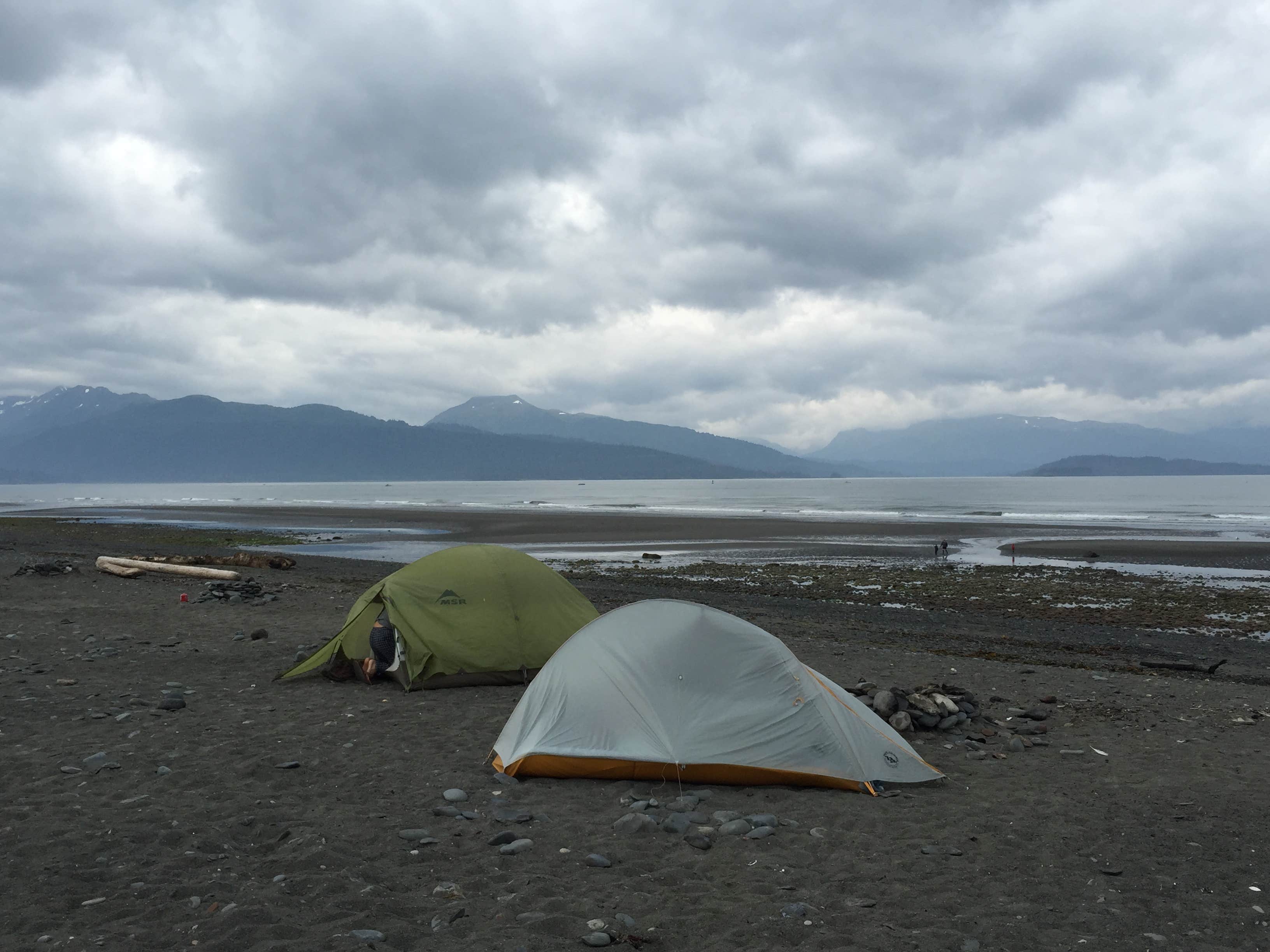 Laura H.'s photo at Homer Spit Campground near Seldovia, AK
