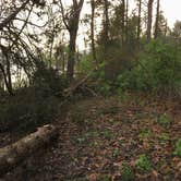 Review photo of Andy Guest/Shenandoah River State Park Campground by Tana S., April 28, 2019