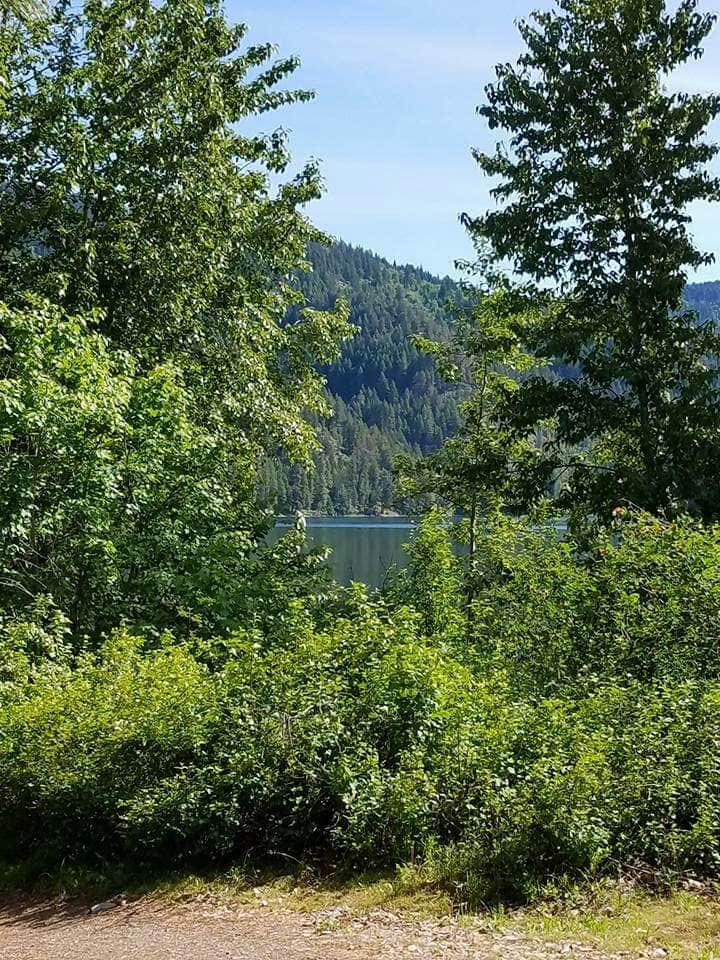 Camper submitted image from Marshall Lake - CLOSED - 3