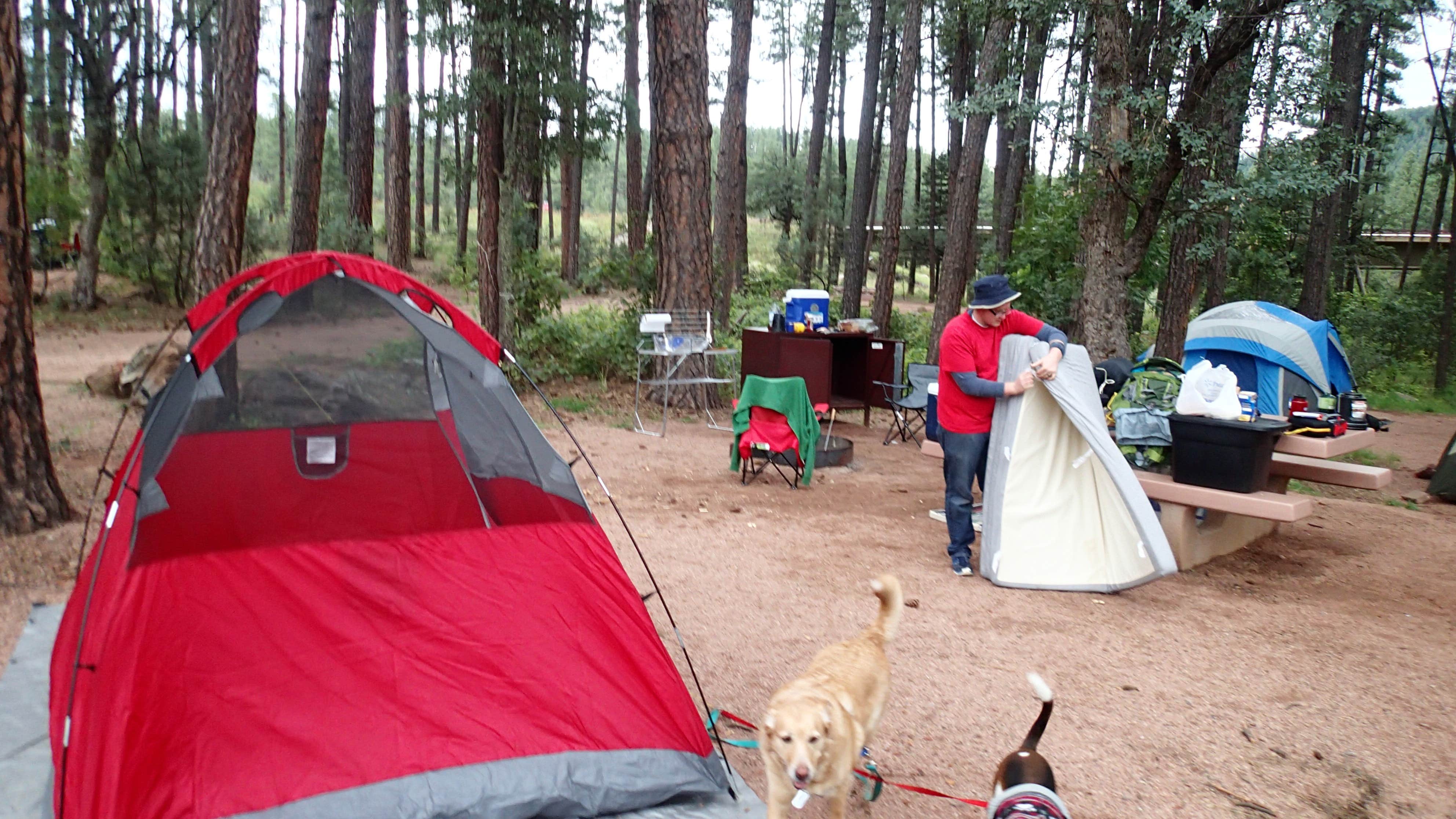 Camper submitted image from Lower Tonto Creek - 2