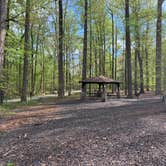 Review photo of Patapsco Valley State Park-Hilton Area by Angel G., April 28, 2019