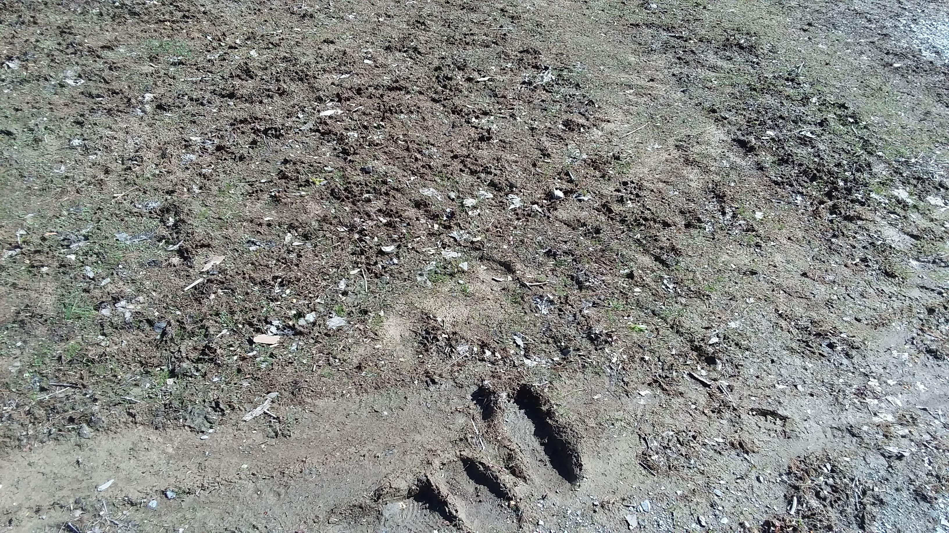 Camper-submitted photo at Russell P Letterman Campground — Bald Eagle State Park near Lemont, PA