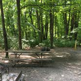Review photo of Starved Rock Campground — Starved Rock State Park by Annie C., April 28, 2019