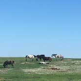 Review photo of Sully Creek State Park — Sully Creek State Recreation Area by Kacie B., April 28, 2019