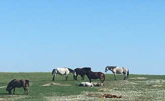 Kacie B.'s photo of camping with a horse at Sully Creek State Park — Sully Creek State Recreation Area near Belfield, ND