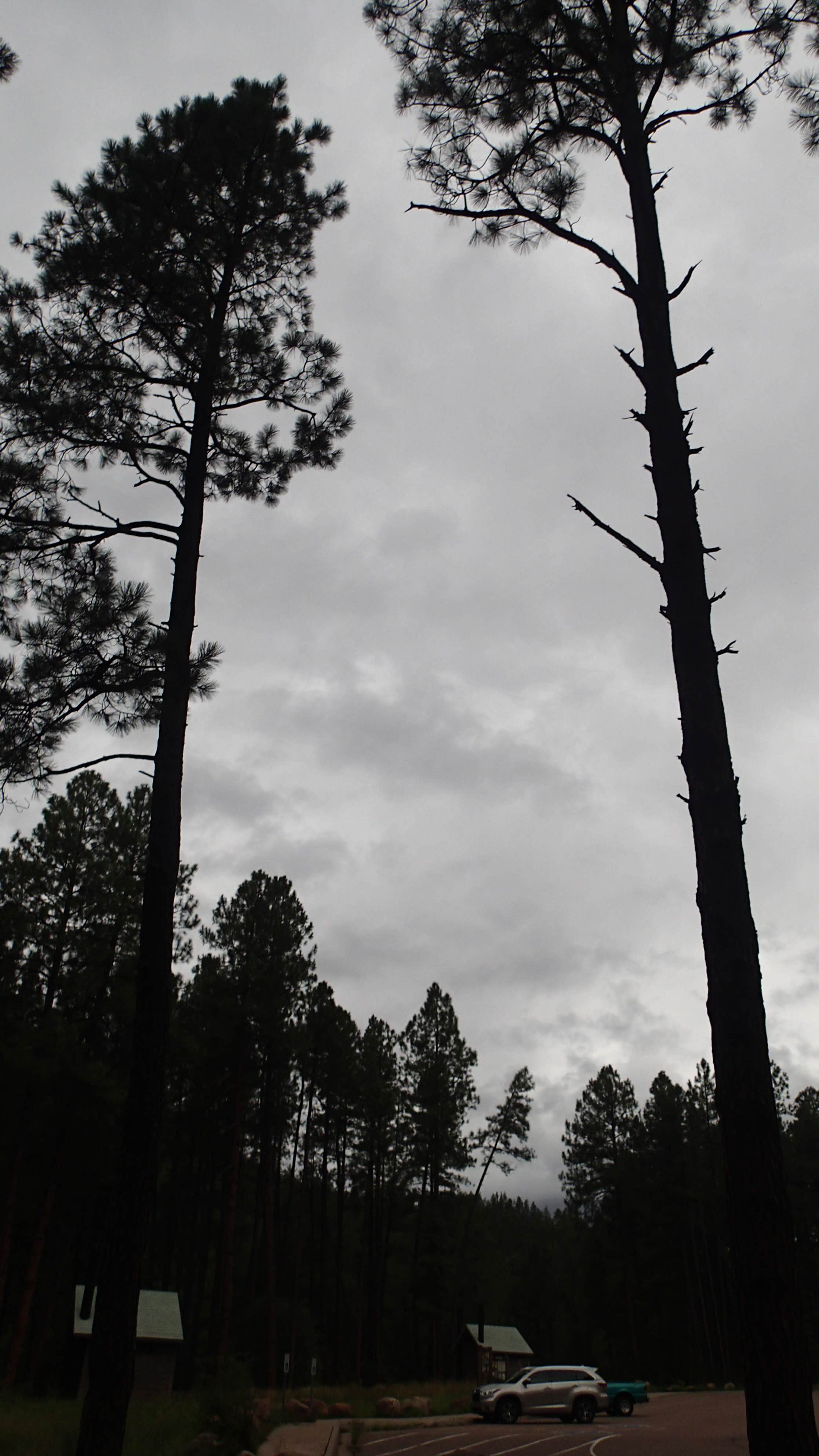 Camper submitted image from Lower Tonto Creek - 2