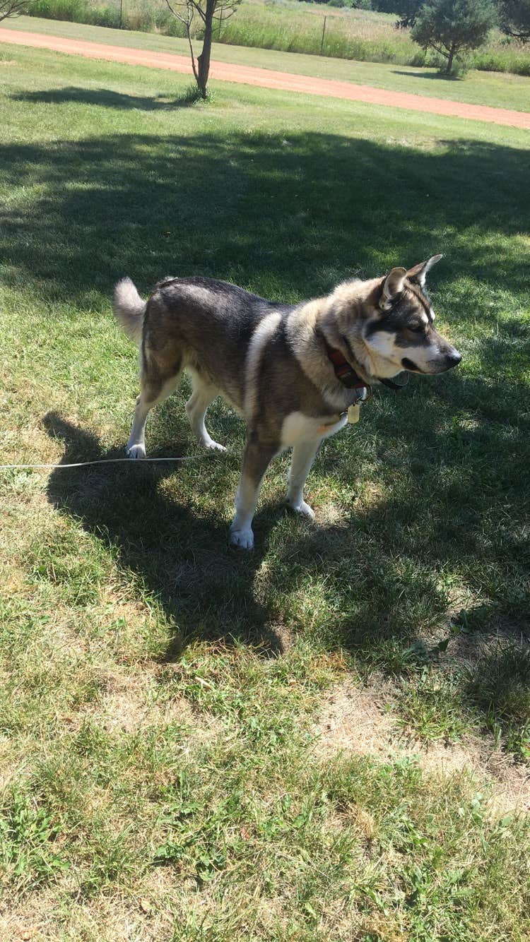 Kacie B.'s photo of camping with pets at Sully Creek State Park — Sully Creek State Recreation Area near Amidon, ND