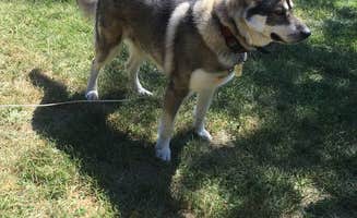 Kacie B.'s photo of camping with pets at Sully Creek State Park — Sully Creek State Recreation Area near Killdeer, ND