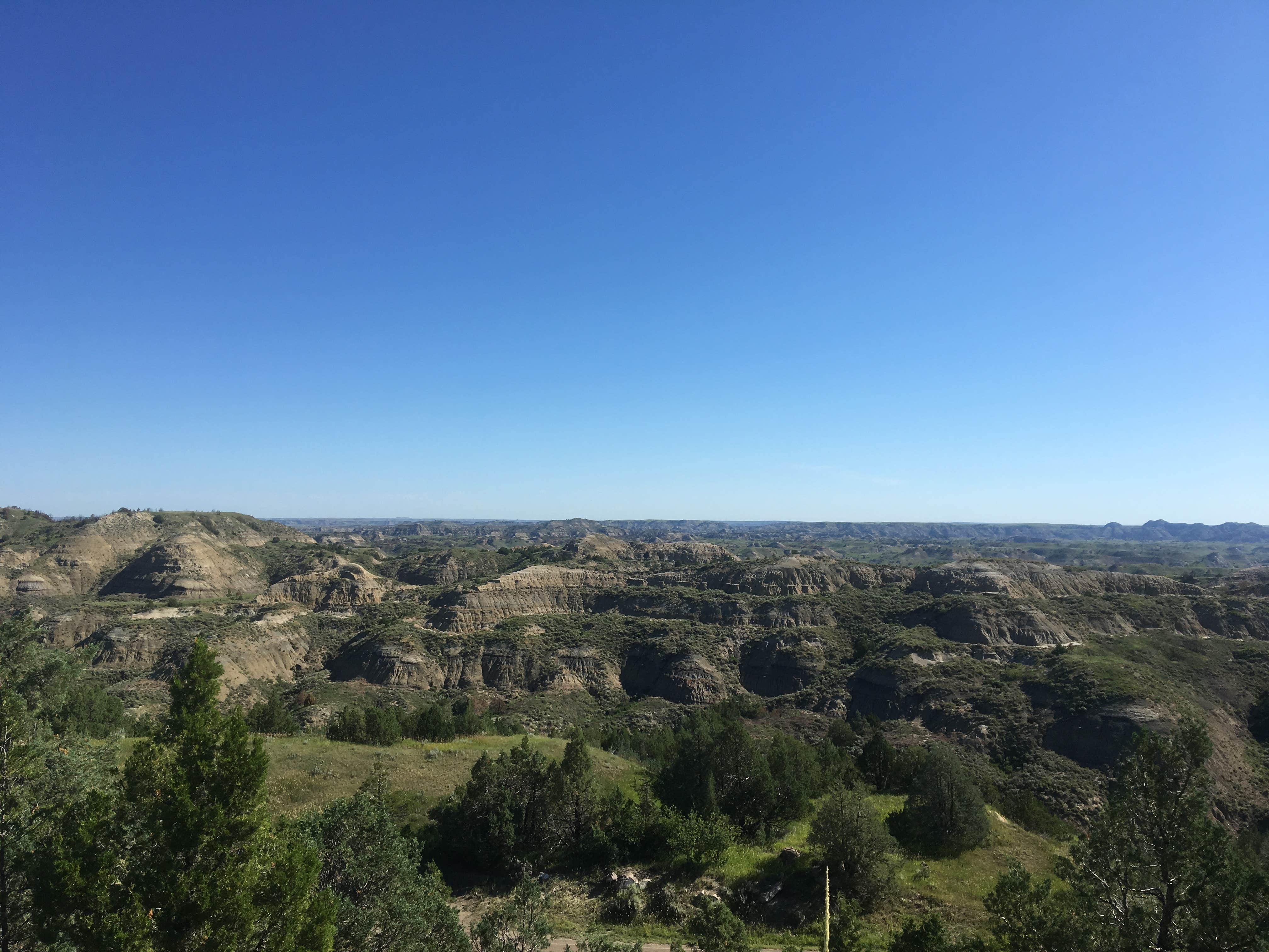 Camper submitted image from Little Missouri National Grassland - 2