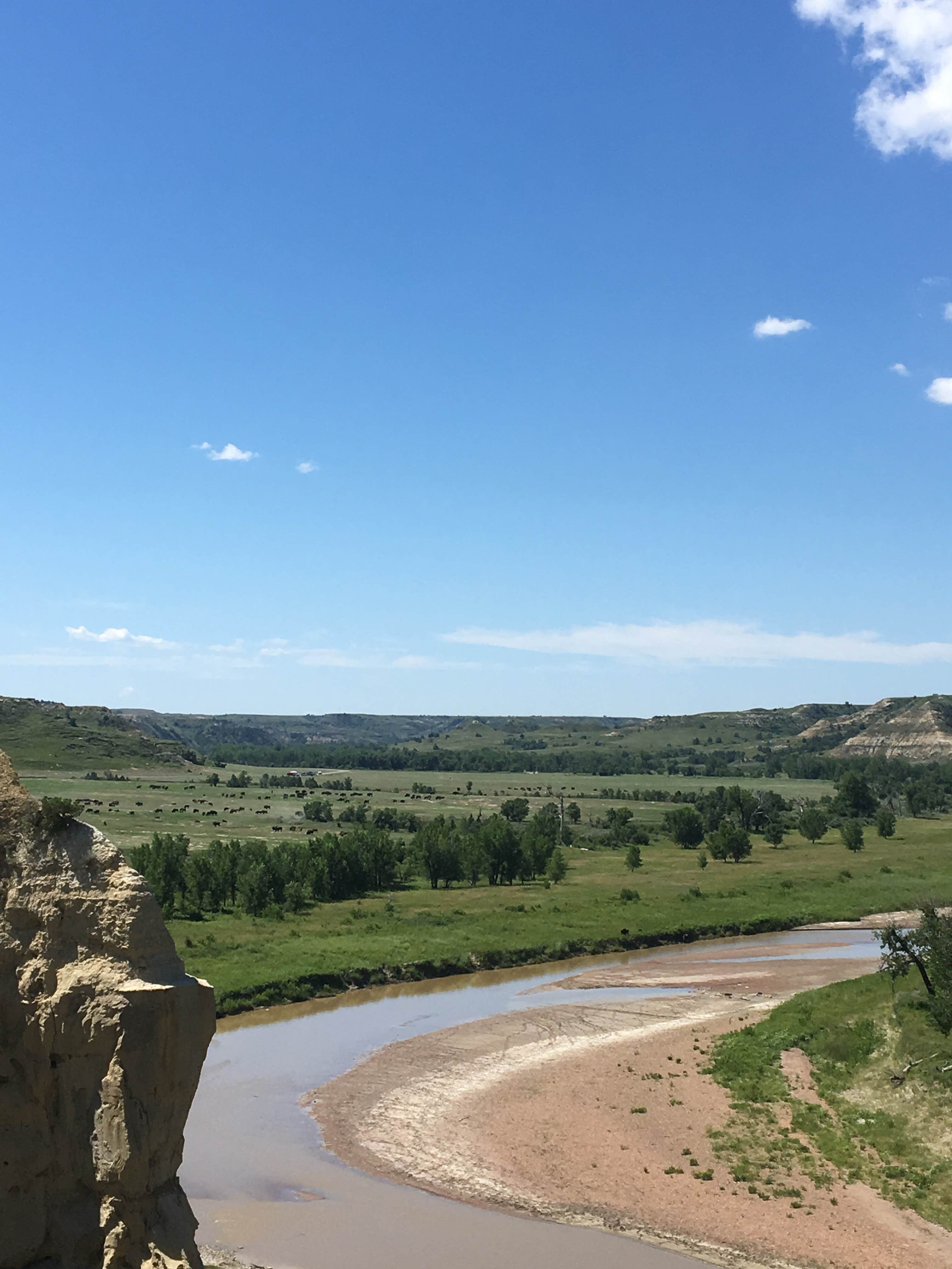 Camper submitted image from Little Missouri National Grassland - 5