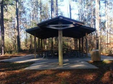 Camper submitted image from Thompson Creek Park Shelter (GA) - 2