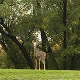 Review photo of Little Missouri National Grassland by Kacie B., April 28, 2019