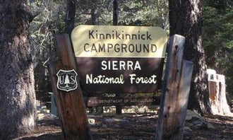 Camping near Badger Flats Group: Kinnikinnick - Sierra NF, Lakeshore, California