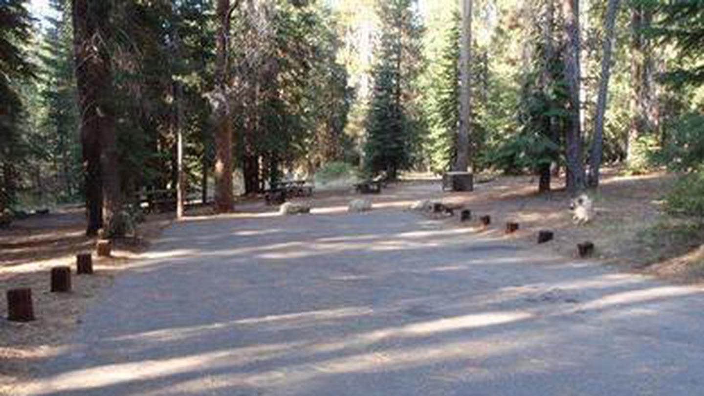 Camper submitted image from Kinnikinnick - Sierra NF - 5