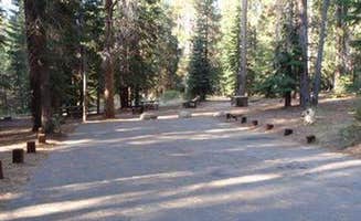 The Dyrt's photo of camping with pets at Kinnikinnick - Sierra NF near Sierra National Forest