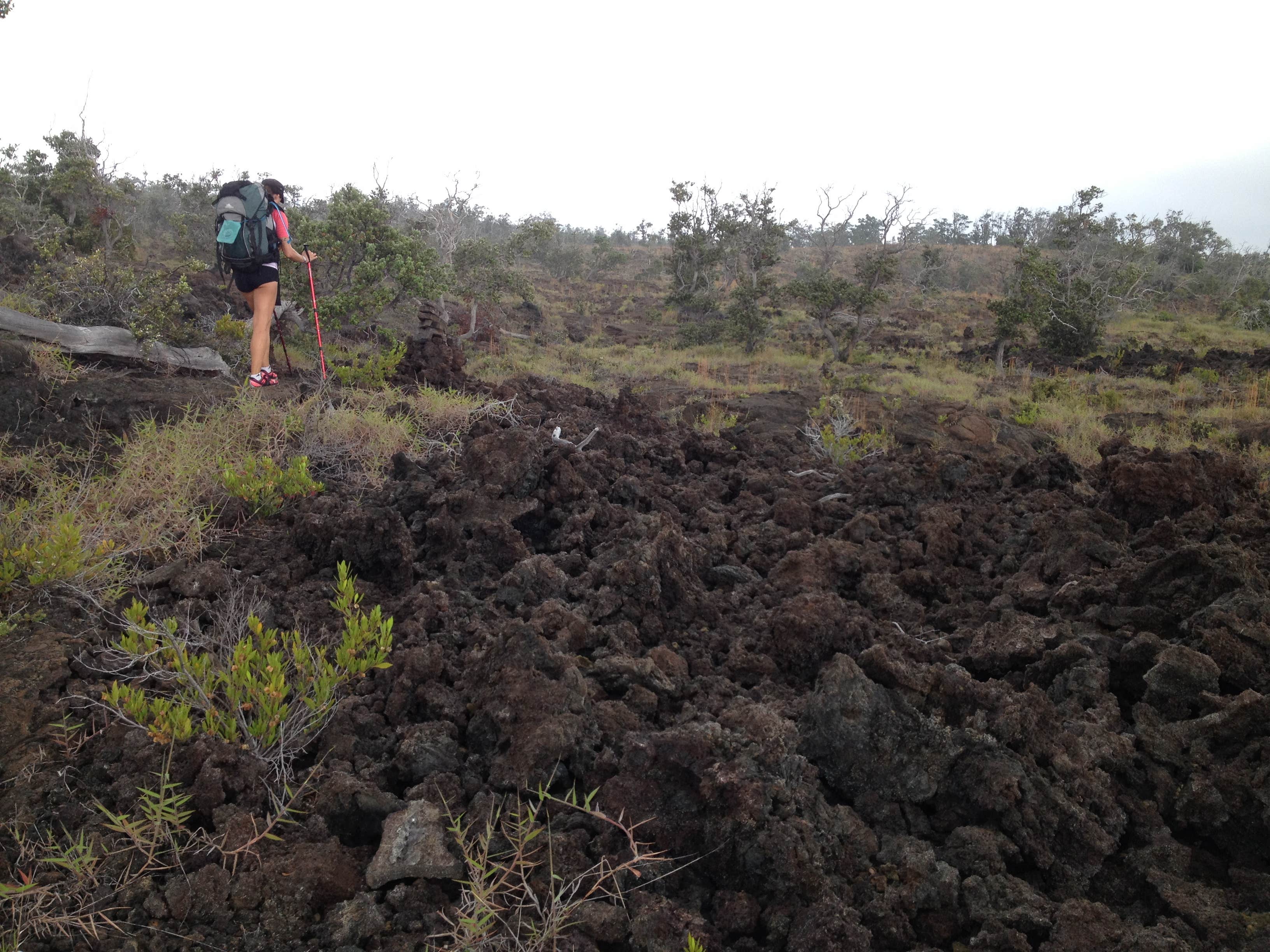 Lava fields.