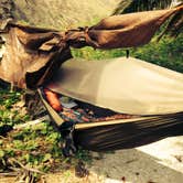 Review photo of Halape Shelter — Hawai'i Volcanoes National Park by Laura H., August 28, 2016