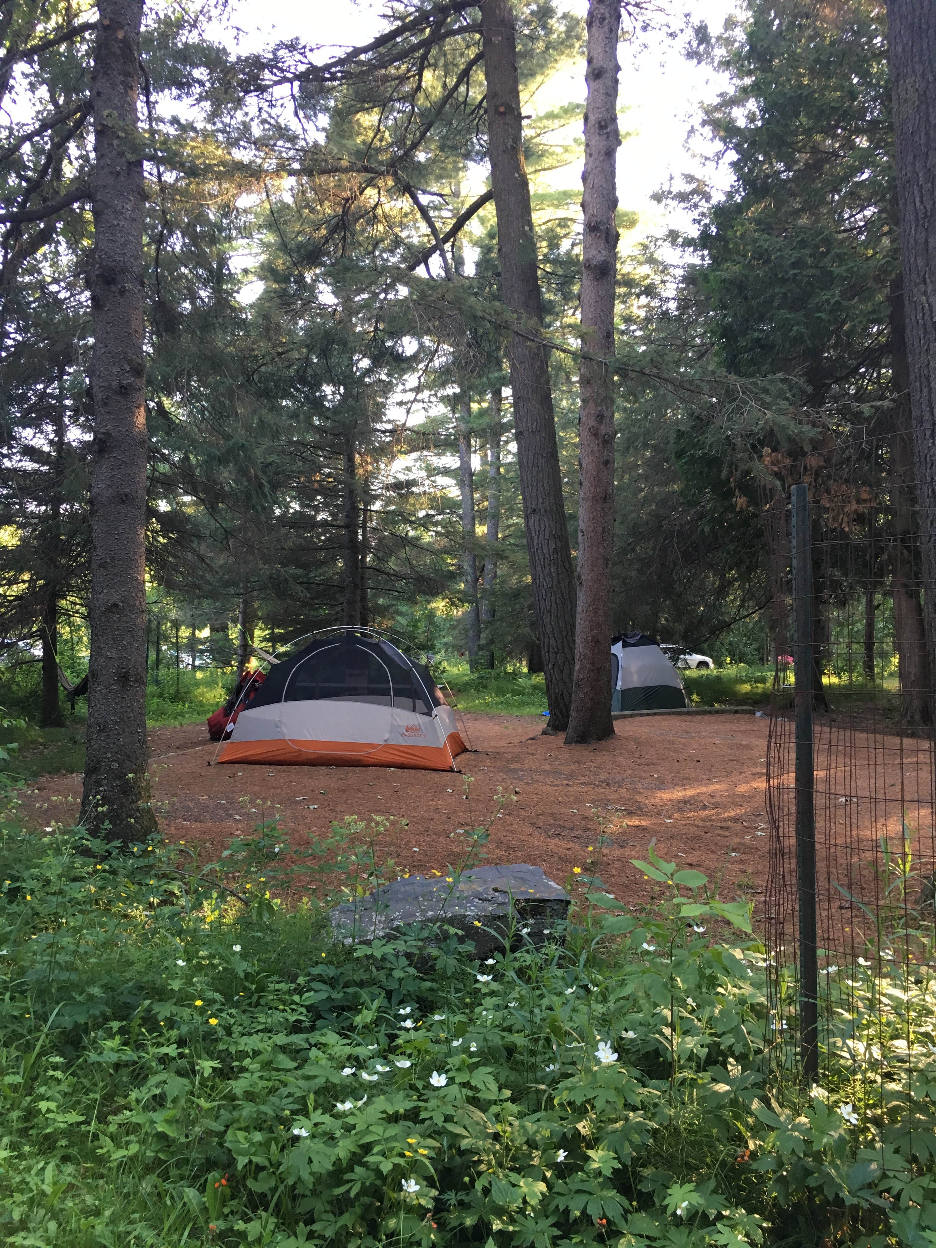 Annie C.'s photo at Jay Cooke State Park Campground near Esko, MN