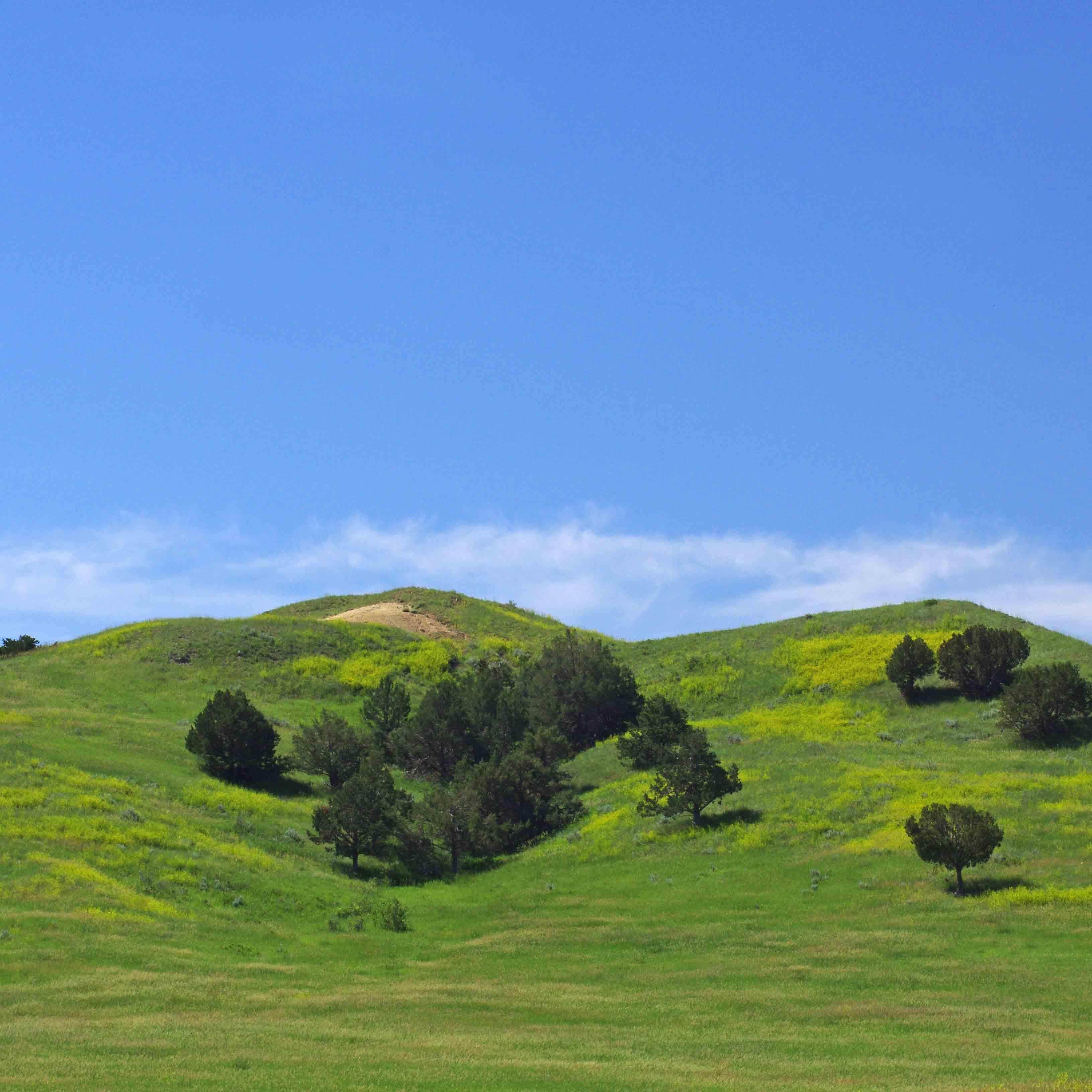 Sage Creek Campground