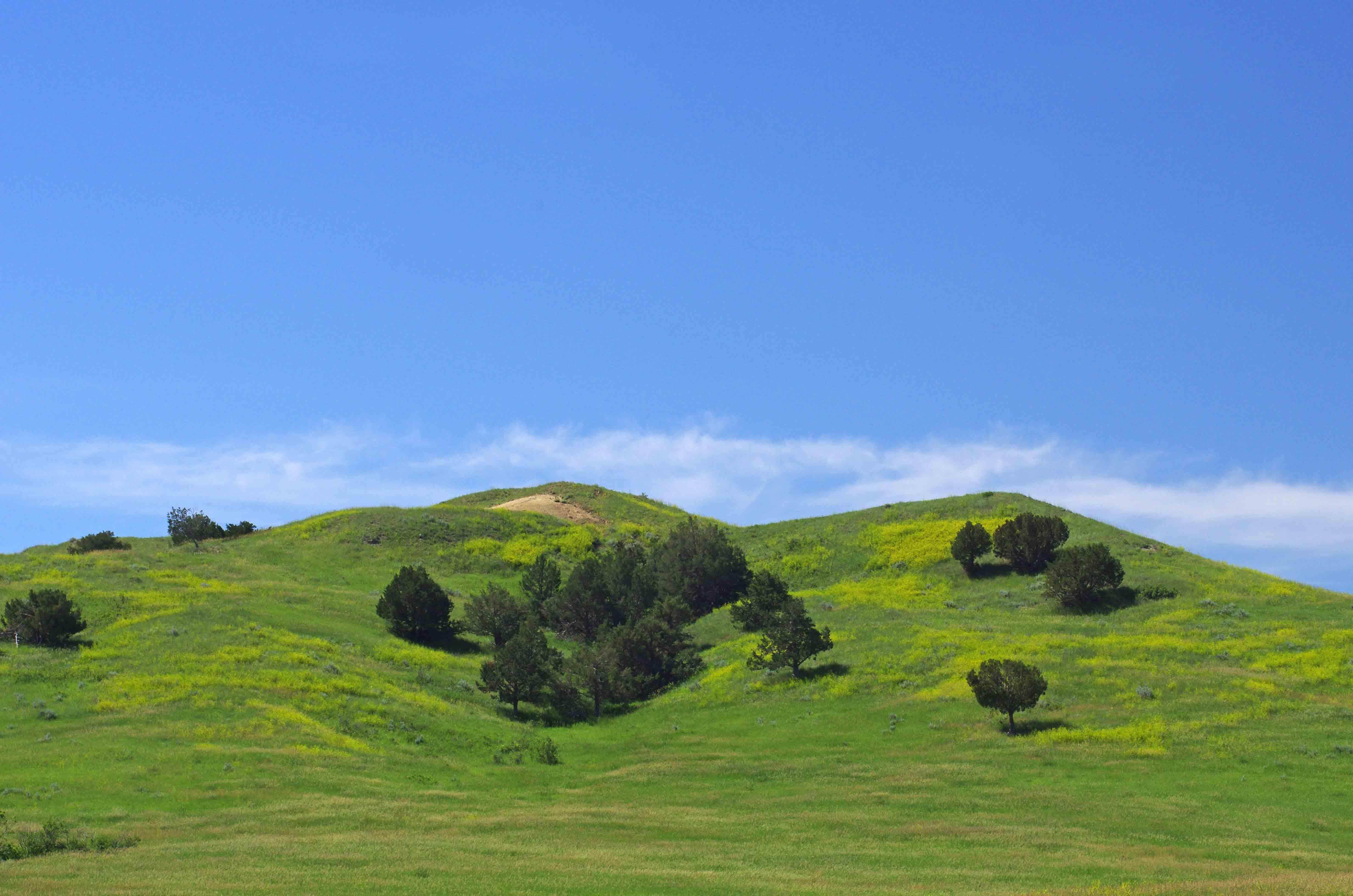 Camper submitted image from Sage Creek Campground - 1