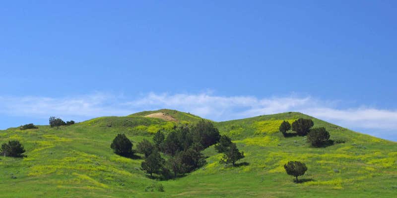 Camper submitted image from Sage Creek Campground