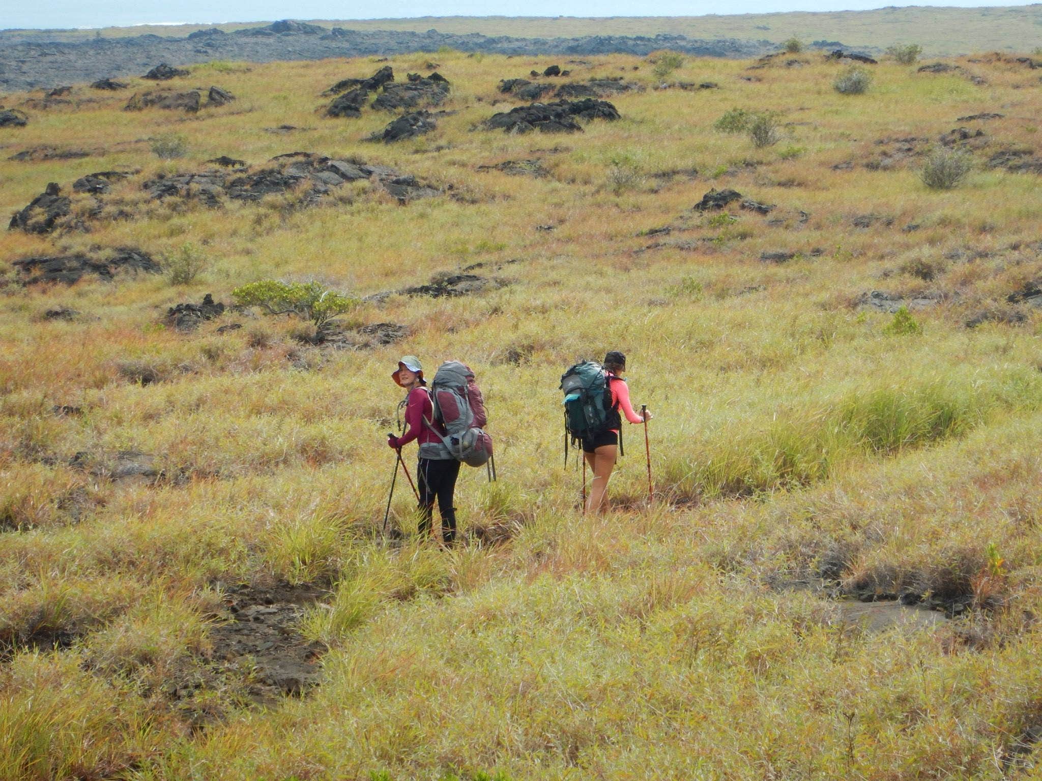 Camper submitted image from Halape Shelter — Hawai'i Volcanoes National Park - 3
