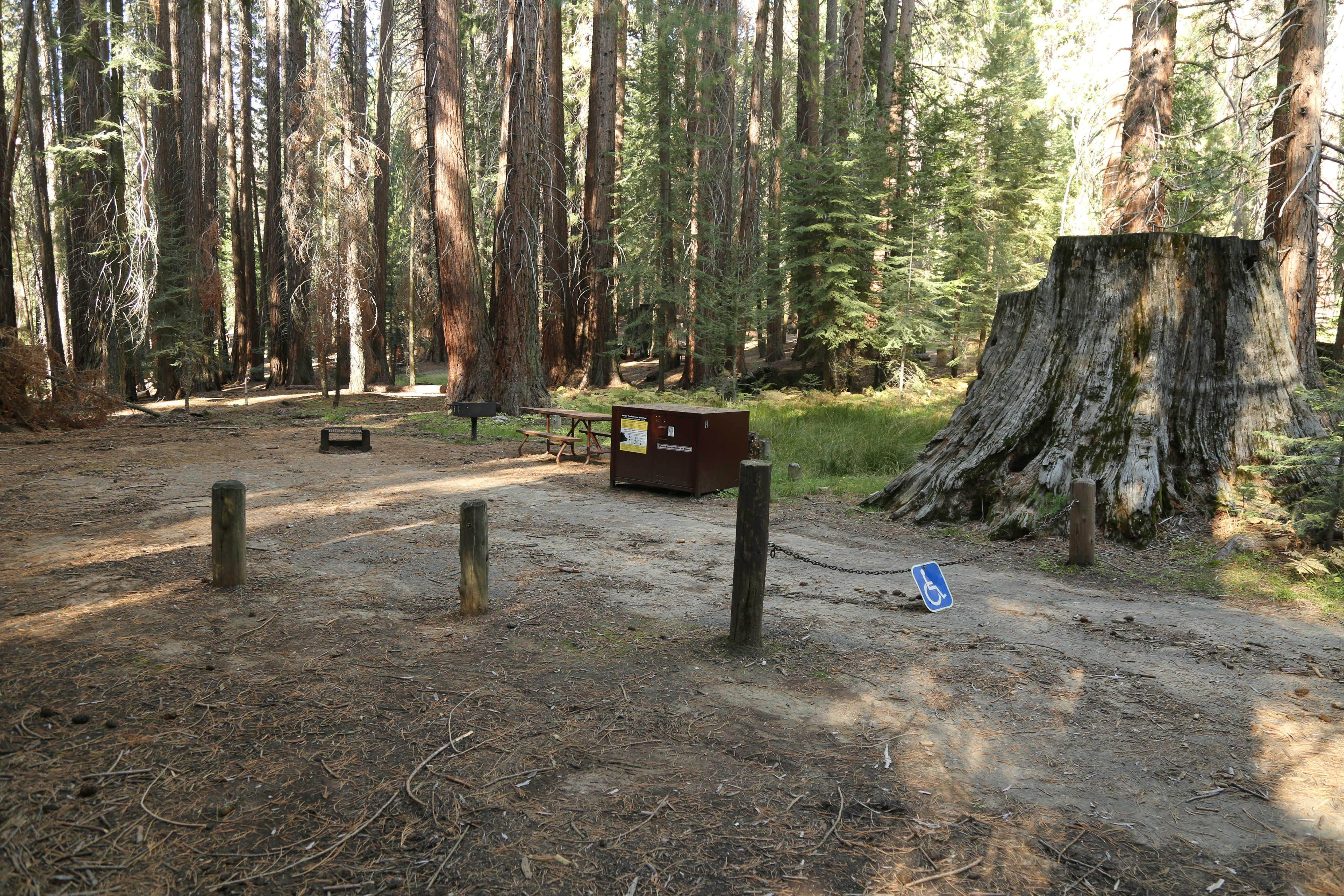 Camper submitted image from Atwell Mill Campground — Sequoia National Park - 3