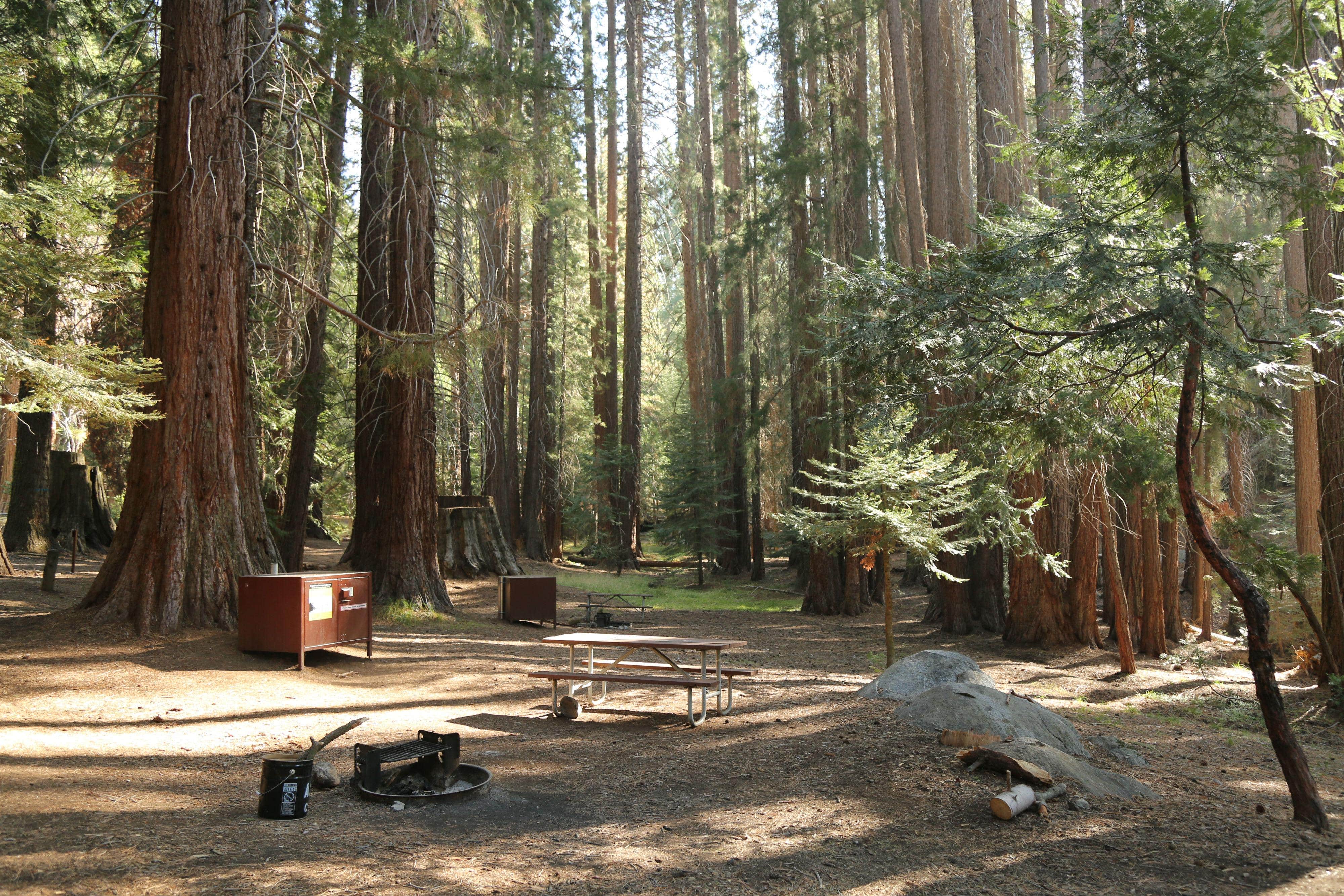 Camper-submitted photo at Atwell Mill Campground — Sequoia National Park near Sequoia & Kings Canyon National Parks