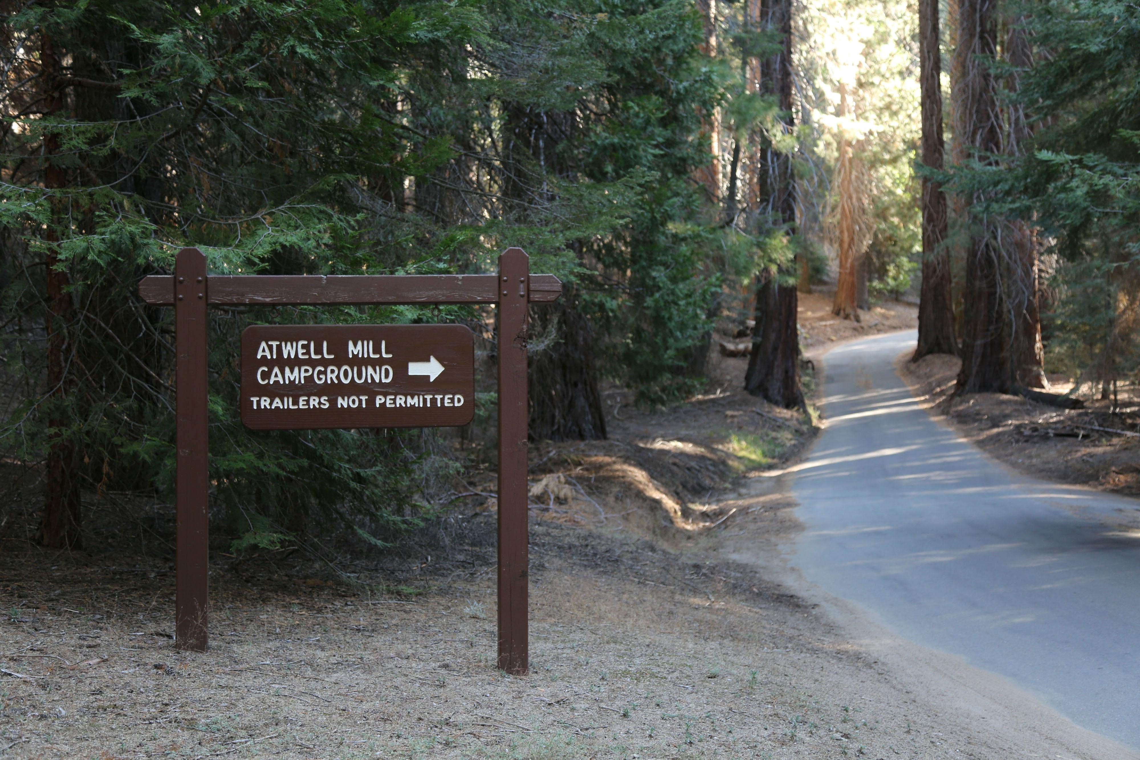 Camper-submitted photo at Atwell Mill Campground — Sequoia National Park near Sequoia & Kings Canyon National Parks