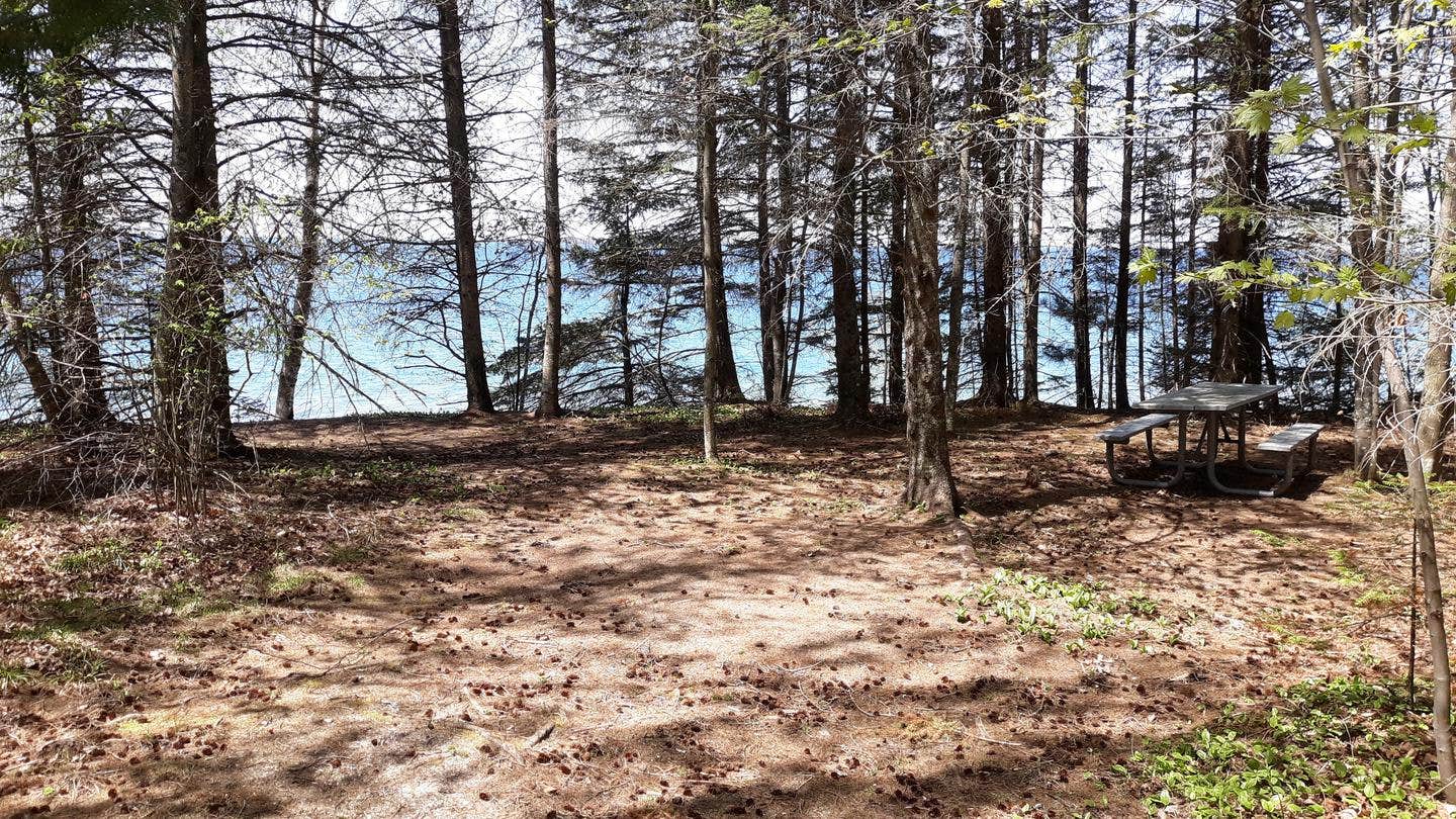 Camper submitted image from Juniper Flats Group Campsite on Grand Island - 2
