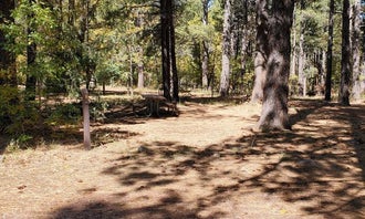 Camping near Kinnikinick - DAY USE ONLY: Double Springs Campground, Mormon Lake, Arizona