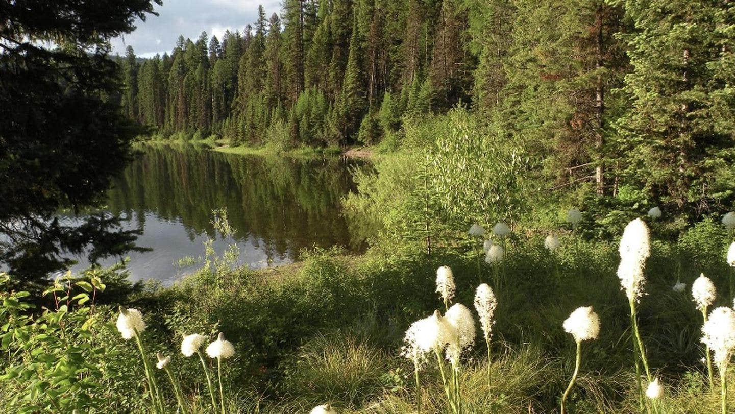 Lake Inez Point 6 (group Camp Site) Seeley Lake, MT