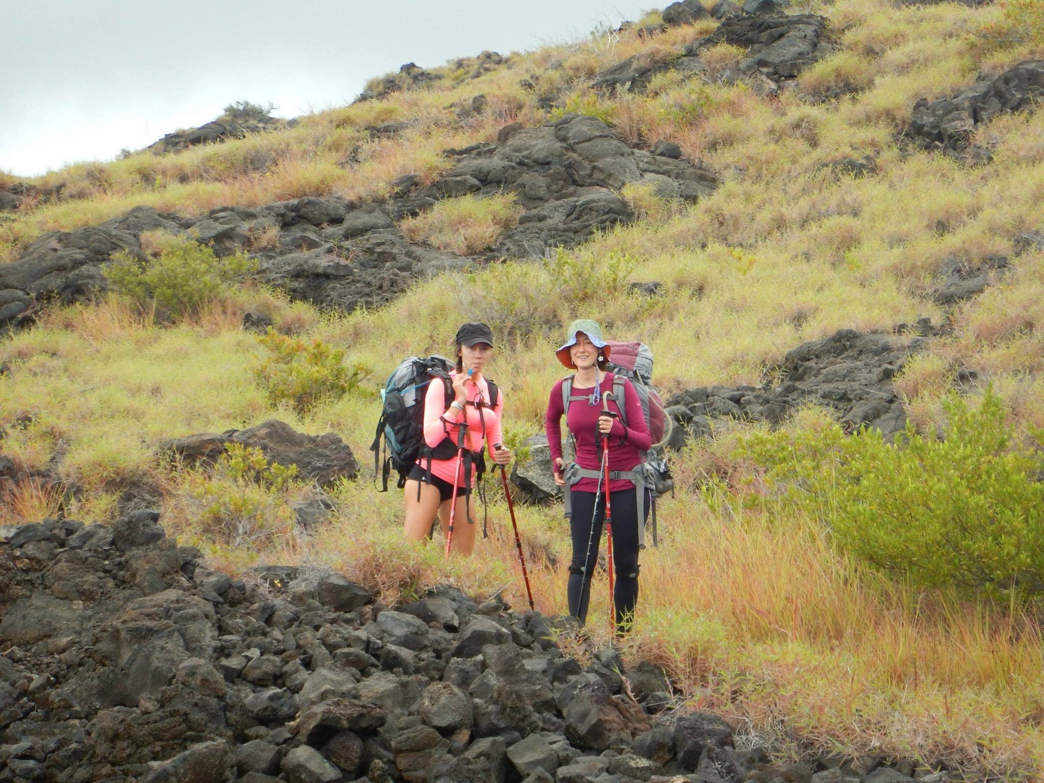 Camper submitted image from Halape Shelter — Hawai'i Volcanoes National Park - 2