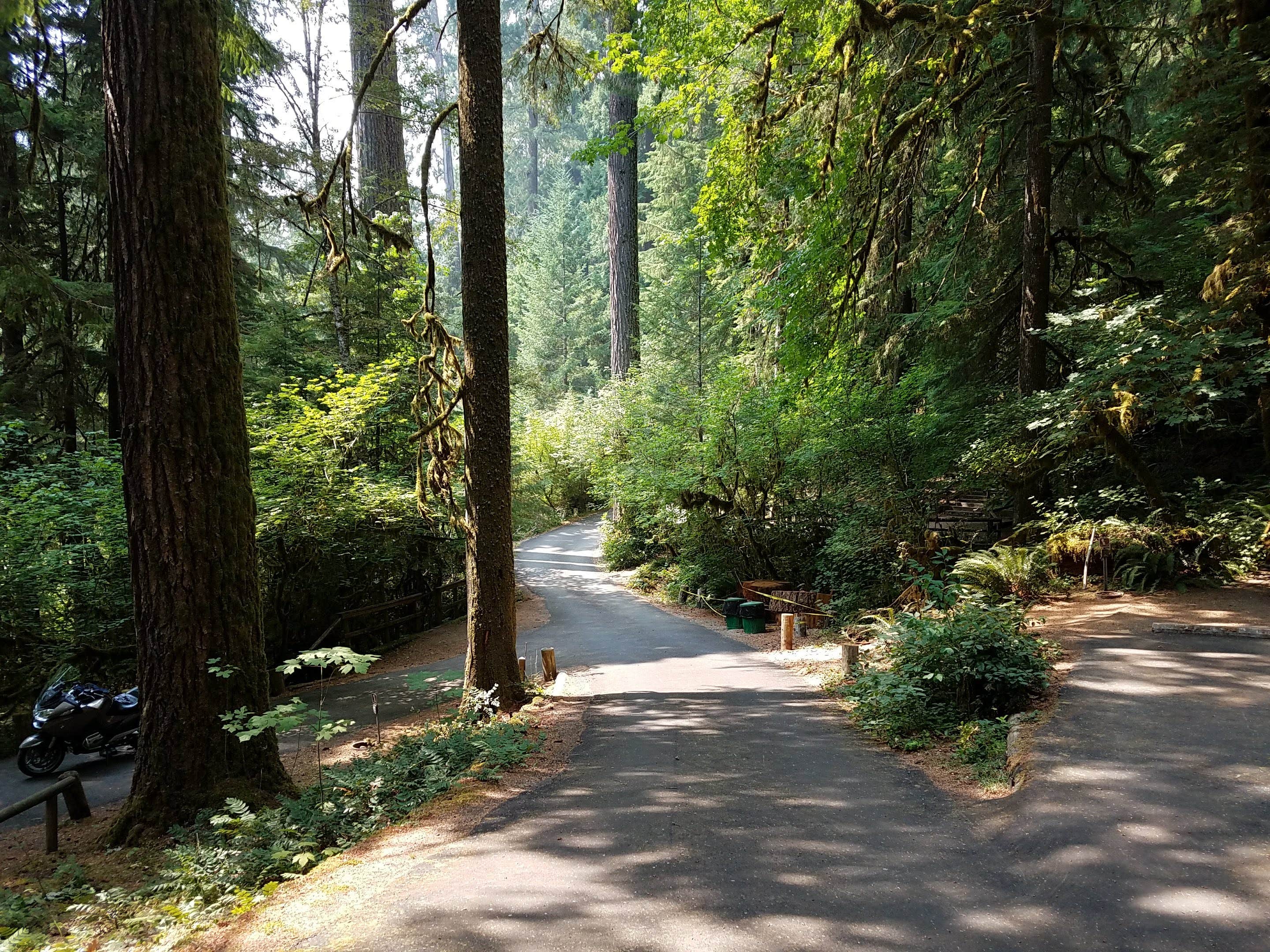 Camper submitted image from Yellowbottom Recreation Site — Quartzville Creek Wild And Scenic River - 1