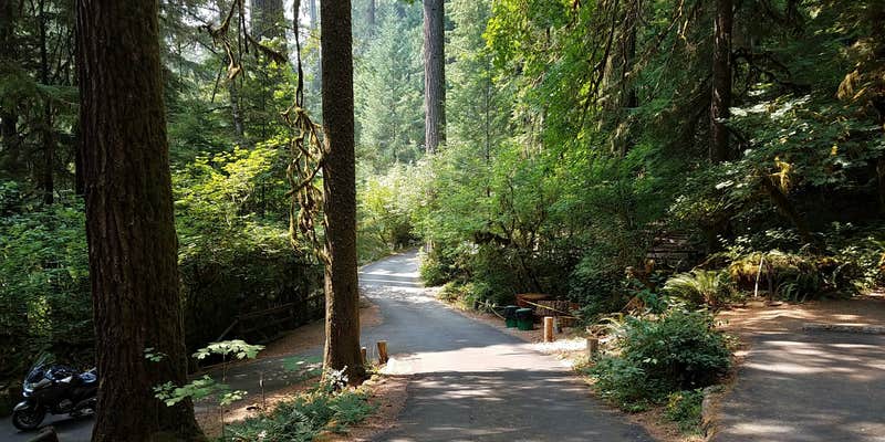 Camper submitted image from Yellowbottom Recreation Site — Quartzville Creek Wild And Scenic River