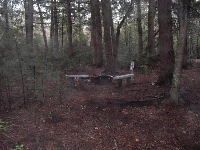 Camper-submitted photo at Hemlock Campsite on Grand Island near Marquette, MI