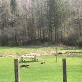 Review photo of Sidie Hollow County Main Campground by Sara M., April 28, 2019