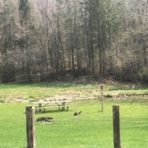 Review photo of Sidie Hollow County Main Campground by Sara M., April 28, 2019