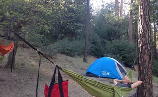 Amanda P.'s photo at Idyllwild Campground — Mount San Jacinto State Park near Anza, CA