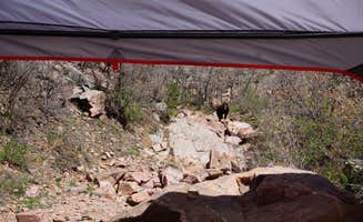 Shannon C.'s photo of tent camping at Phantom Canyon Road BLM Sites near PSICC
