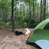 Review photo of Tyler State Park Campground by Mikaela H., April 28, 2019