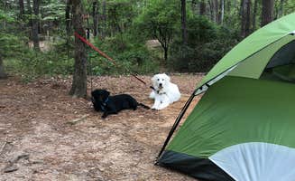 Mikaela H.'s photo at Tyler State Park Campground near Athens, TX