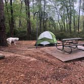 Review photo of Tyler State Park Campground by Mikaela H., April 28, 2019