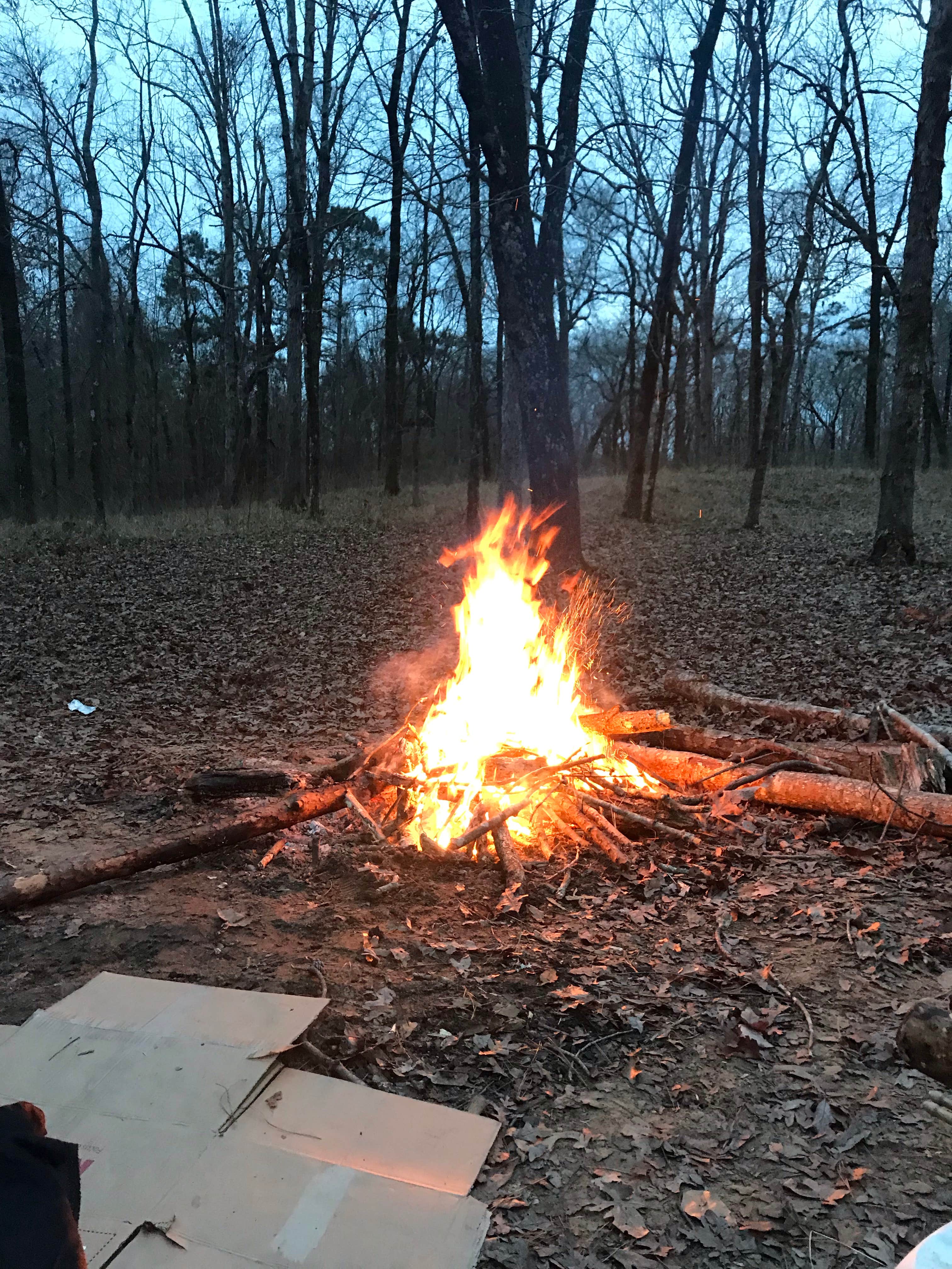Camper submitted image from Indian Creek Campground - 4