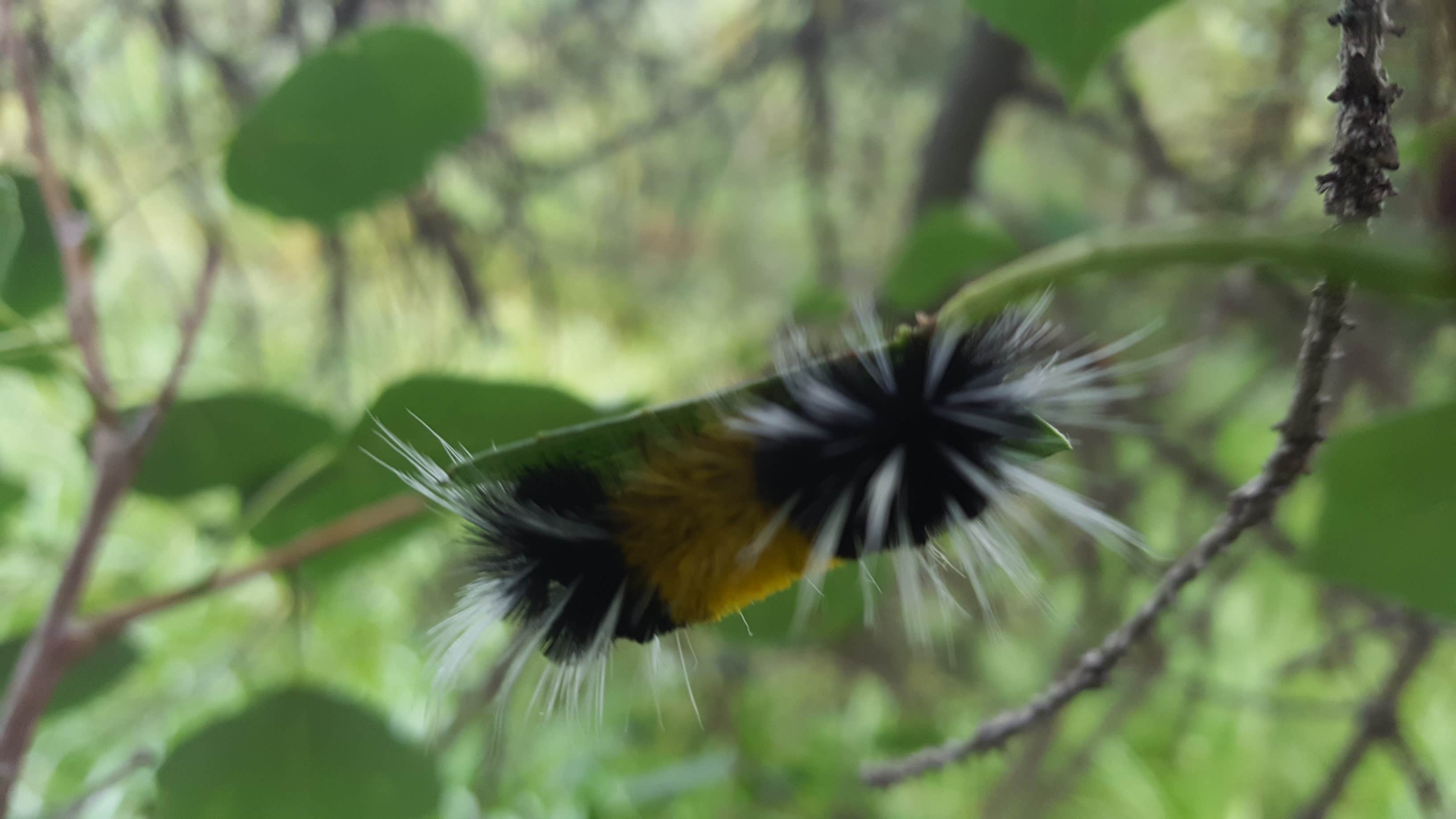 Camper-submitted photo at Woods Lake Campground near Placerville, CO
