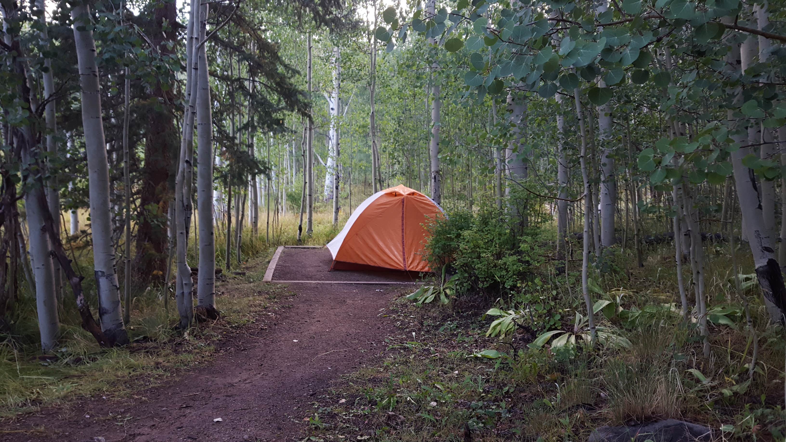 Melissa K.'s photo at Woods Lake Campground near Rico, CO