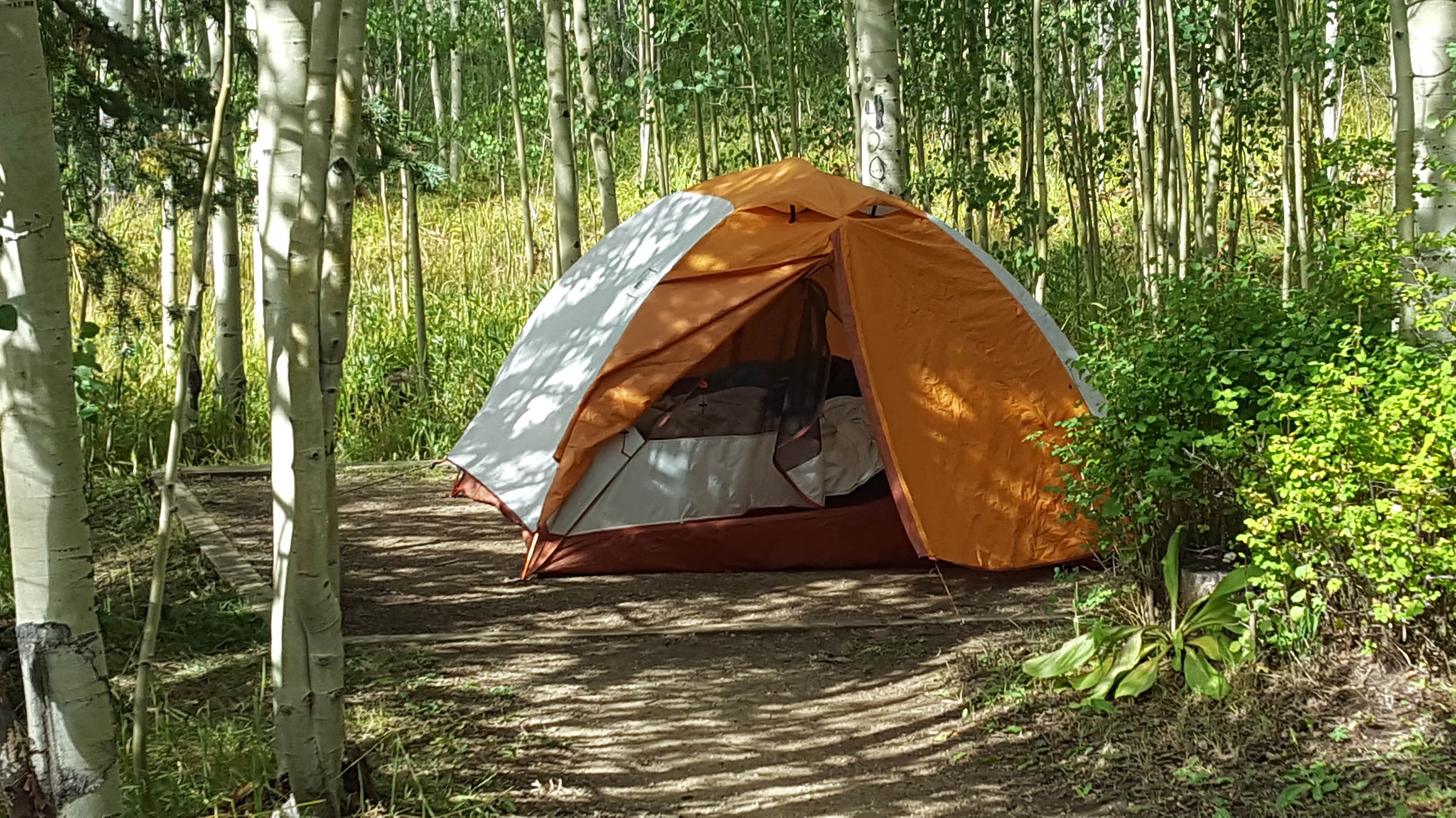 Melissa K.'s photo at Woods Lake Campground near Rico, CO